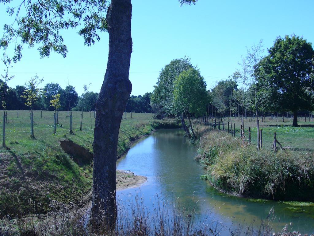 Ferme De Dauval Bed & Breakfast Mandeville-en-Bessin Dış mekan fotoğraf